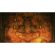 Hyrule Warriors: Age of Imprisonment (NS2) изображение 3