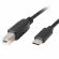 Lanberg USB Type-C към USB Type-B на супер цени