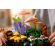 LEGO Woodland Mushrooms изображение 7