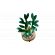 LEGO Lucky Bamboo изображение 5