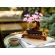 LEGO Bonsai Tree изображение 5