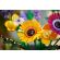 LEGO Wildflower Bouquet изображение 11