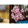 LEGO Japanese Cherry Blossom Landscape изображение 10