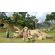 LEGO Jurassic World (PS4) изображение 2