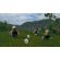 LEGO Jurassic World (PS4) изображение 4