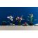LEGO Orchid изображение 6