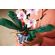 LEGO Orchid изображение 14