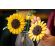 LEGO Sunflower Bouquet изображение 11