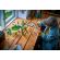 LEGO The Dragon of Life изображение 9