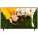 43'' LG 43UA751C на супер цени
