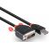Lindy DisplayPort към DVI-D изображение 2