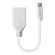 Lindy mini DisplayPort към DisplayPort изображение 2