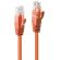 Lindy RJ-45 към RJ-45 на супер цени
