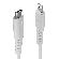 Lindy USB Type-C към Lightning на супер цени