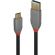 Lindy Anthra Line USB Type-C към USB на супер цени