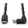 Lindy USB Type-C към USB Type-C изображение 4
