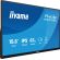IIYAMA ProLite P1671HSC-B1 изображение 3