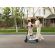 SEGWAY Ninebot eKickScooter C2 Lite изображение 7