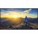 43" Sharp MultiSync E439 на супер цени