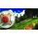 Sonic X Shadow Generations (NS2) изображение 8