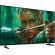 Sony Bravia 2 K-43S25 изображение 3