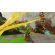 Splatoon Raiders (NS2) изображение 7