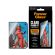 SAFE Front Screen Protector FRAME FIT w. EasyAligner за Apple iPhone Duo изображение 3