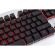 White Shark GLADIATOR, бял изображение 3