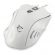 White Shark Hercules, бял изображение 3